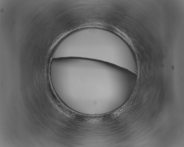 X0000078250155200611030903