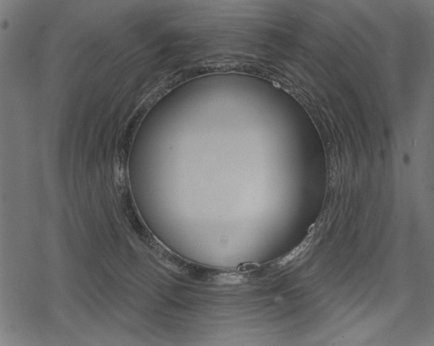 X0000078250176200611030903