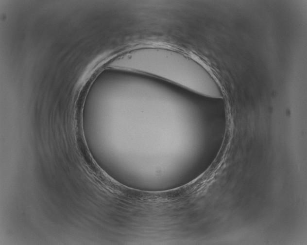 X0000078250199200611030903