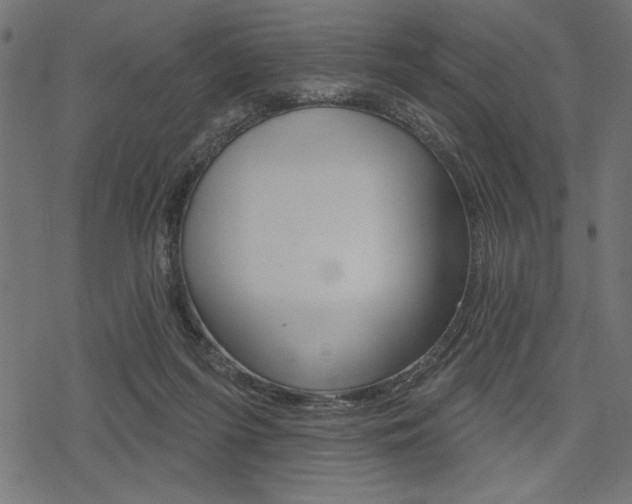X0000078250215200611030903