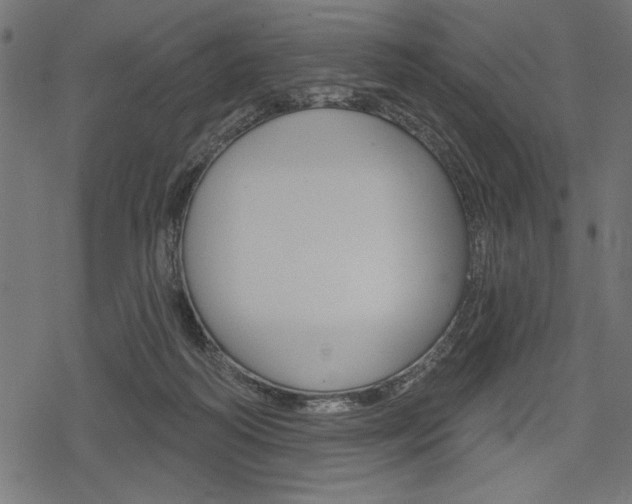 X0000078250218200611030903