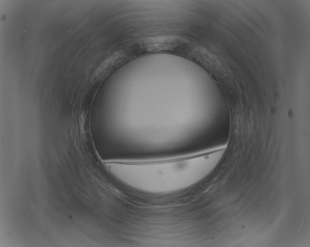 X0000078250219200611030903