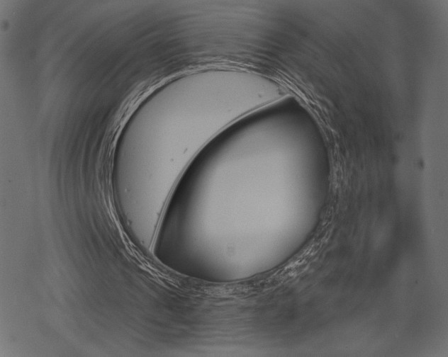 X0000078250241200611030901