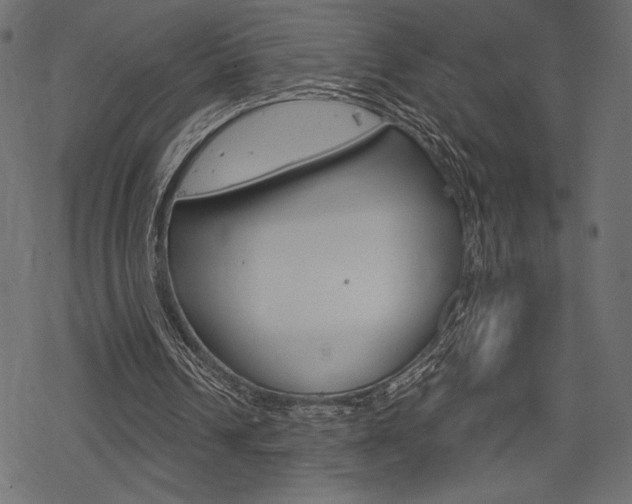 X0000078250242200611030901