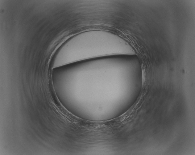 X0000078250243200611030901