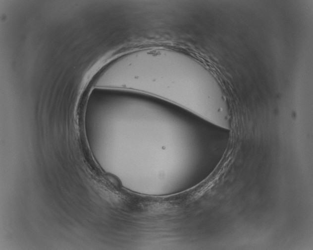 X0000078250246200611030902