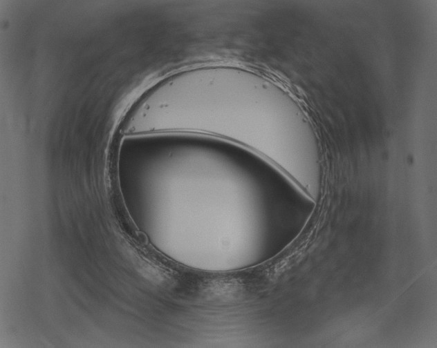 X0000078250248200611030902