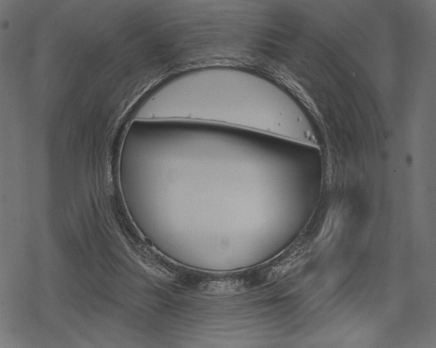 X0000078250251200611030902