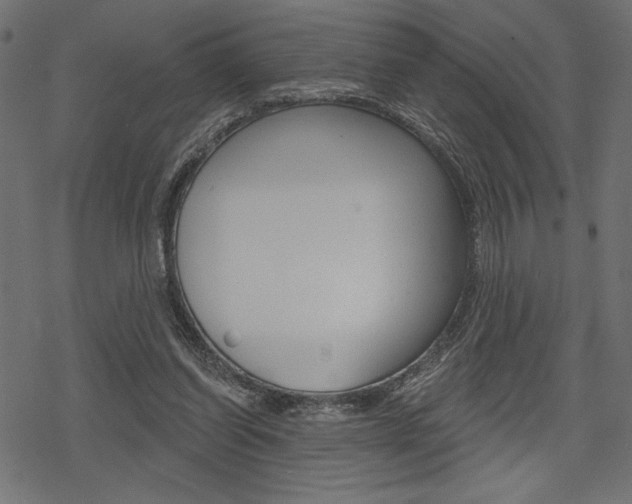 X0000078250254200611030902