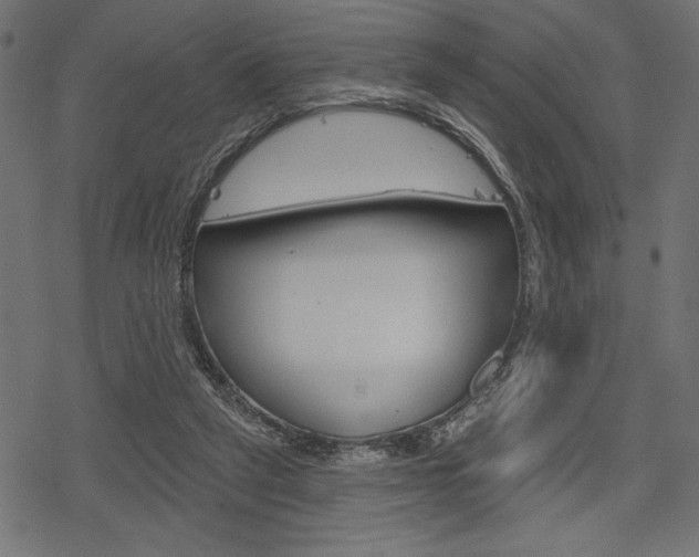 X0000078250257200611030902