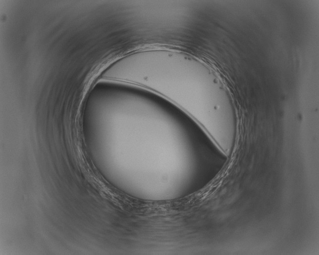 X0000078250289200611030901