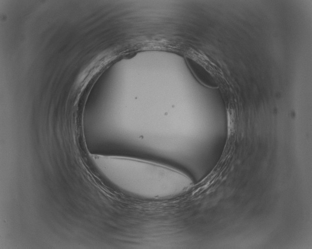 X0000078250291200611030901