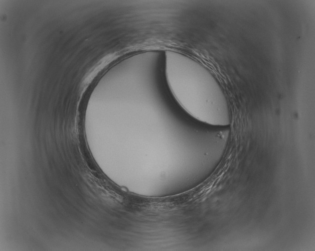 X0000078250292200611030901
