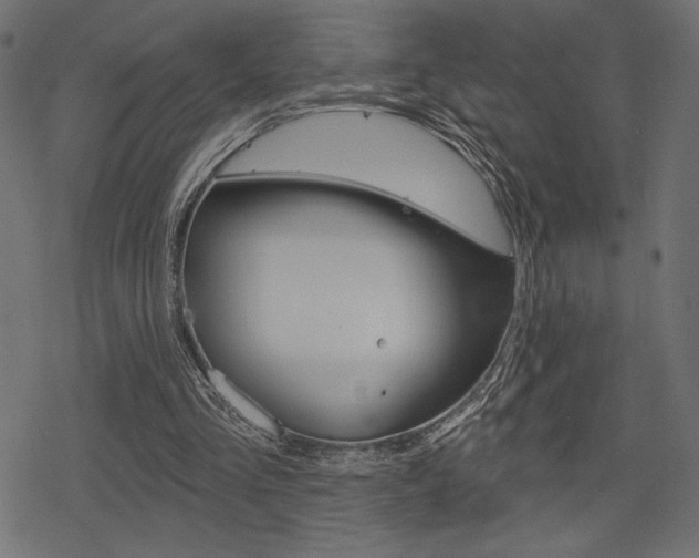 X0000078250293200611030901