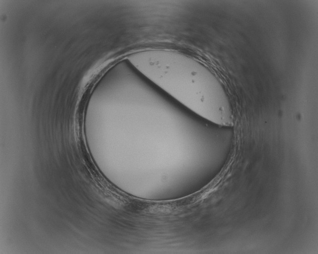 X0000078250294200611030901