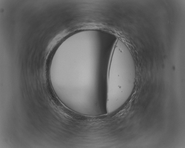 X0000078250296200611030901