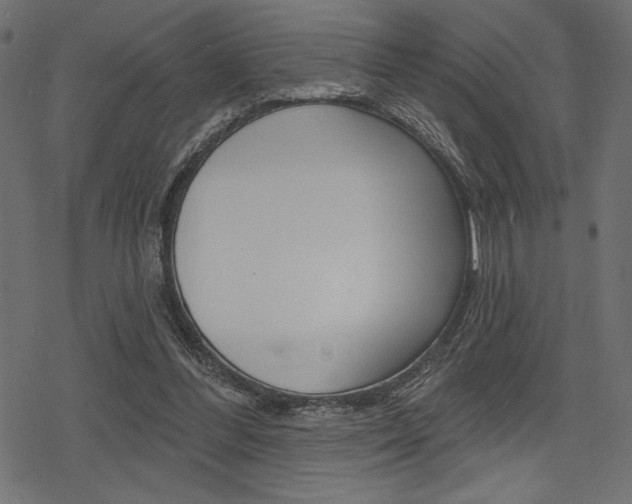 X0000078250300200611030901