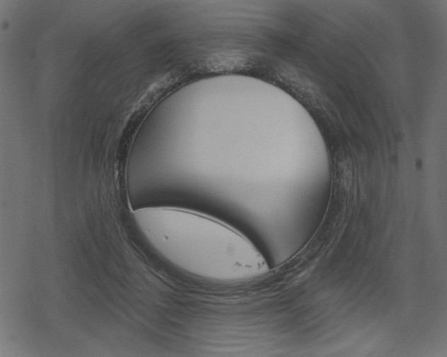 X0000078250308200611030901