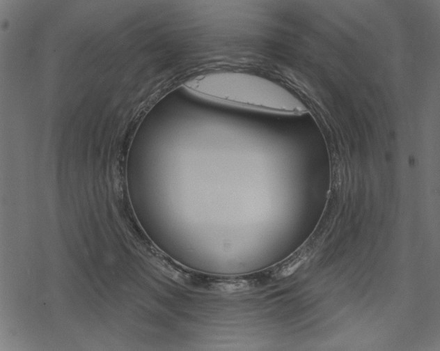X0000078250317200611030901