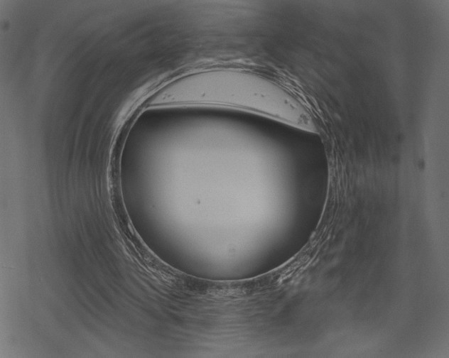 X0000078250340200611030900