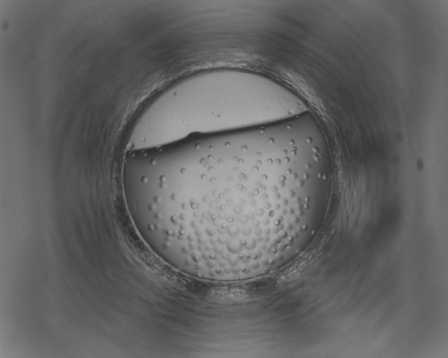 X0000078250354200611030900