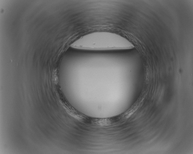 X0000078250383200611030901