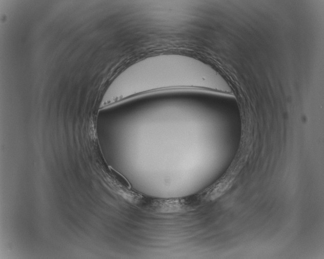 X0000078250384200611030901