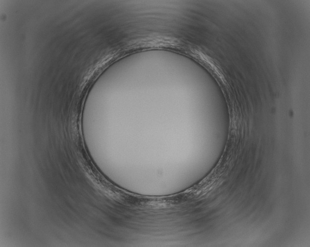 X0000078250394200611030900