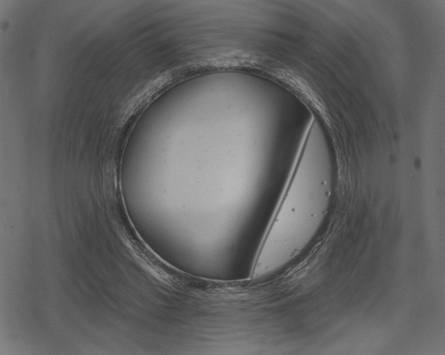 X0000078250397200611030900