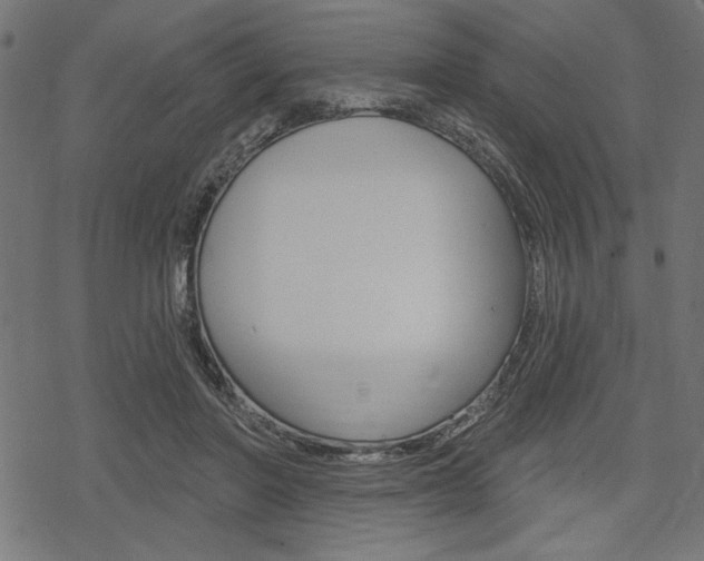 X0000078250406200611030859