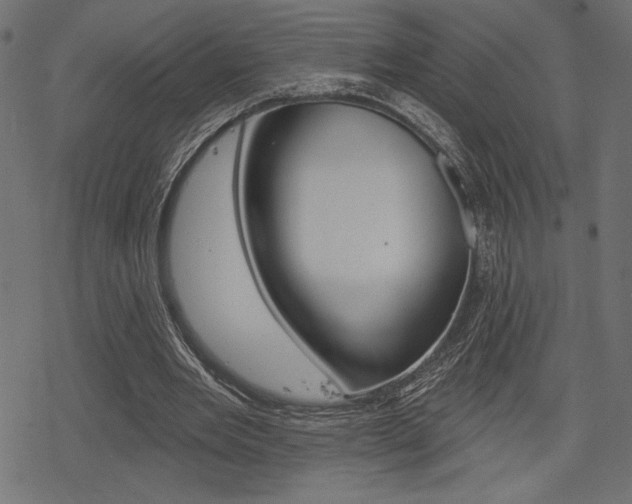 X0000078250485200611030858