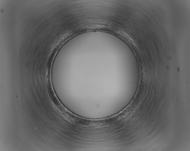 X0000078250490200611030858