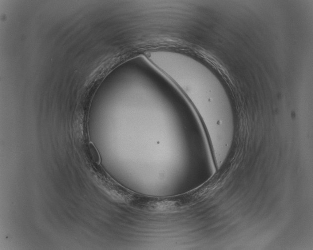 X0000078250501200611030858
