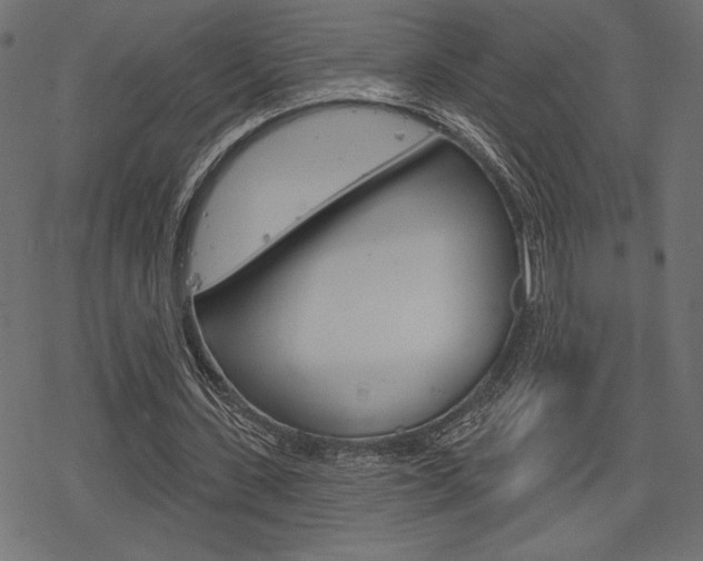X0000078250531200611030857