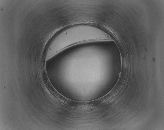 X0000078250540200611030857