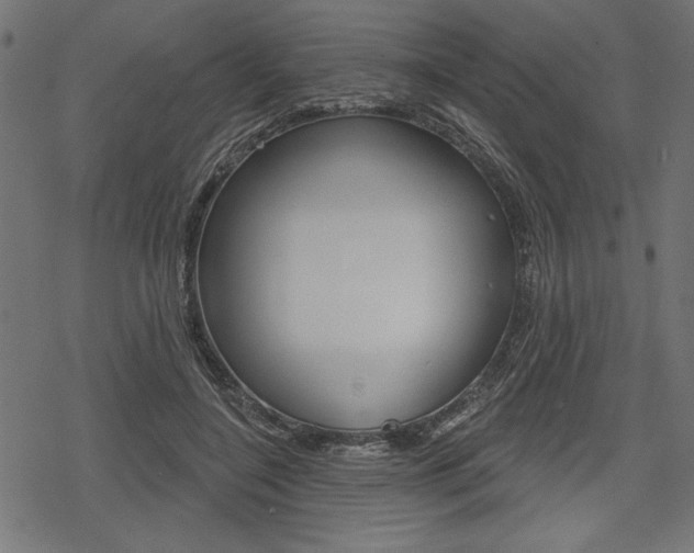X0000078250548200611030857