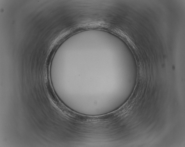 X0000078250582200611030857