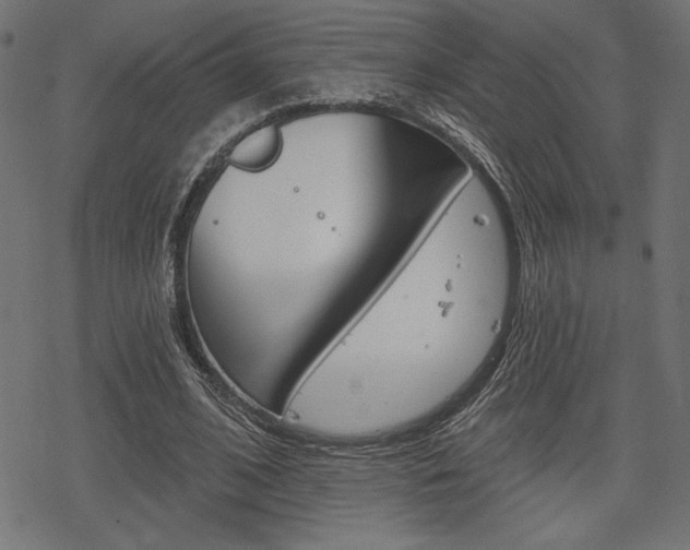 X0000078250584200611030857