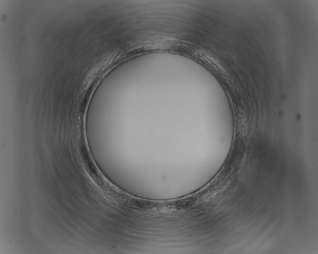 X0000078250586200611030857