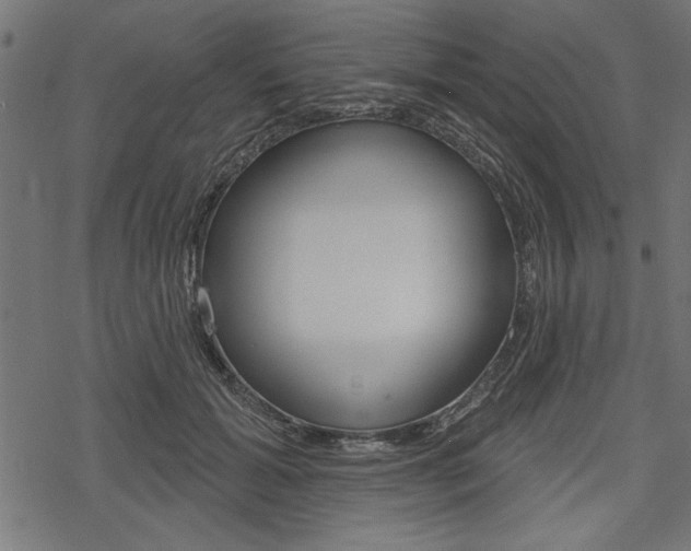 X0000078250605200611030856