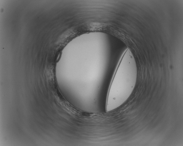 X0000078250620200611030856
