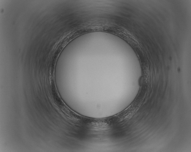 X0000078250644200611030855