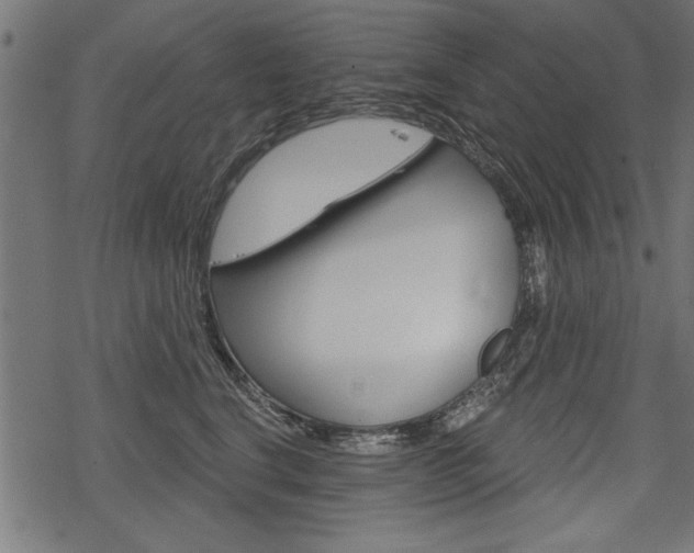 X0000078250664200611030856