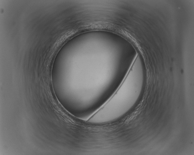 X0000078250673200611030855