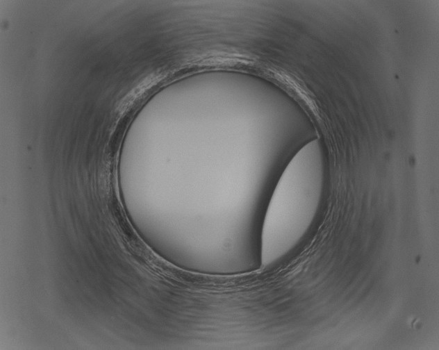 X0000078250675200611030855