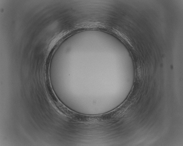 X0000078250682200611030855