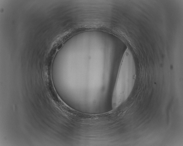 X0000078250688200611030855
