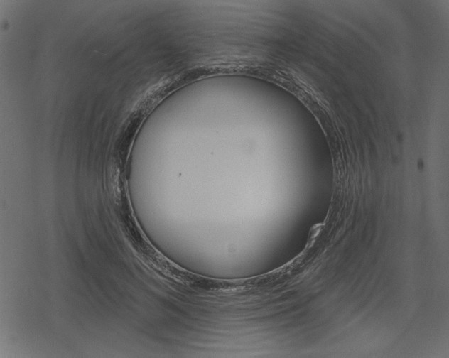 X0000078250692200611030855