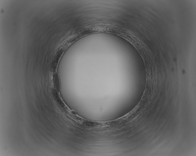 X0000078250696200611030855