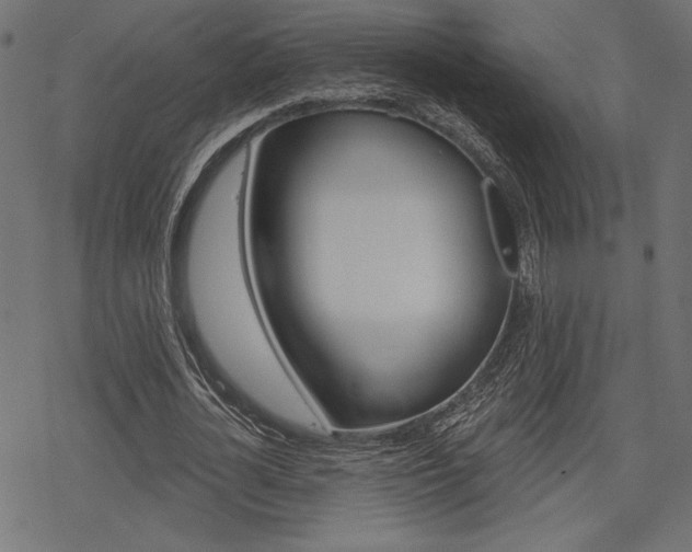 X0000078250724200611030854